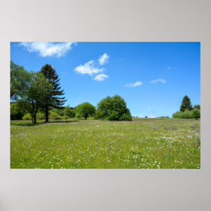 Meadows  idyll poster