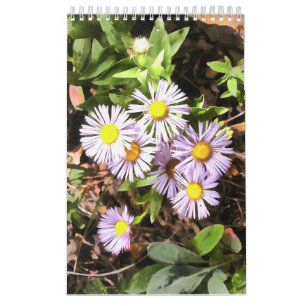 Meadows in Bloom 1-Year Calendar