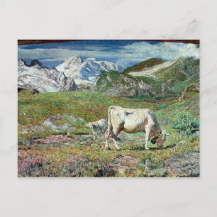 Meadows in Spring Postcard