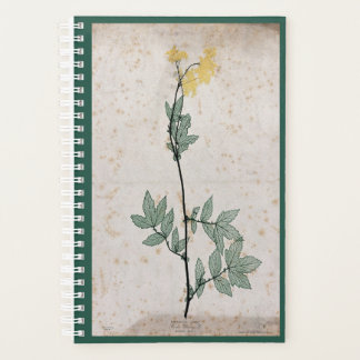 Meadowsweet planner