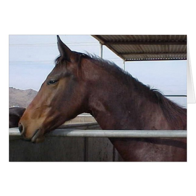 Meaghan (Front Horizontal)