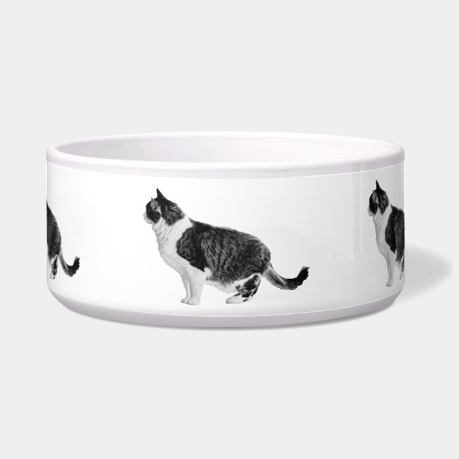 Mealtime Watch, Calm Shape (Front)