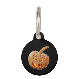 pumpkin dog tag