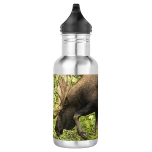 Meandering Moose 532 Ml Water Bottle