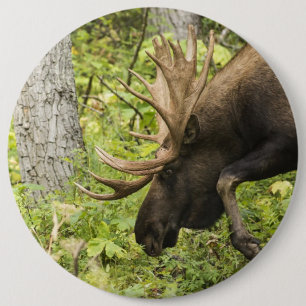 Meandering Moose 6 Cm Round Badge