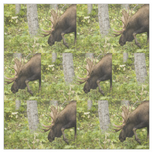 Meandering Moose Fabric