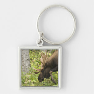 Meandering Moose Key Ring