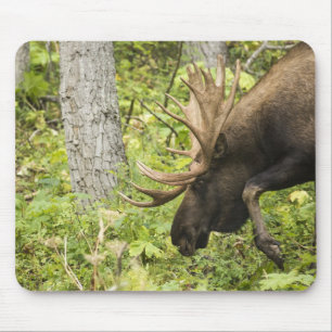 Meandering Moose Mouse Pad