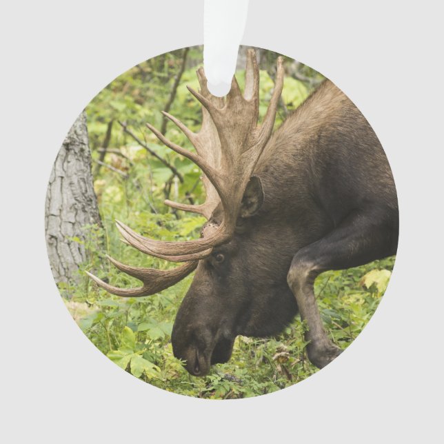 Meandering Moose Ornament (Front)