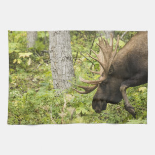 Meandering Moose Tea Towel