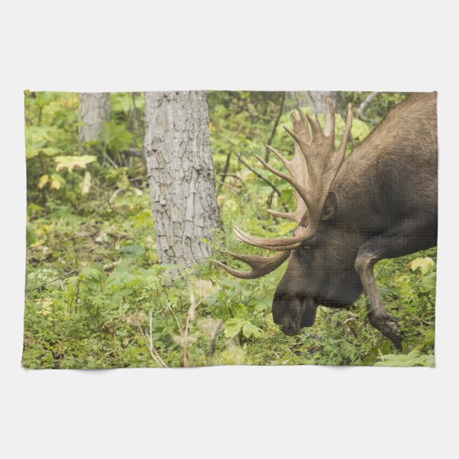 Meandering Moose Tea Towel (Horizontal)