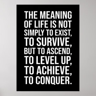Meaning Of Life Is To Conquer Poster