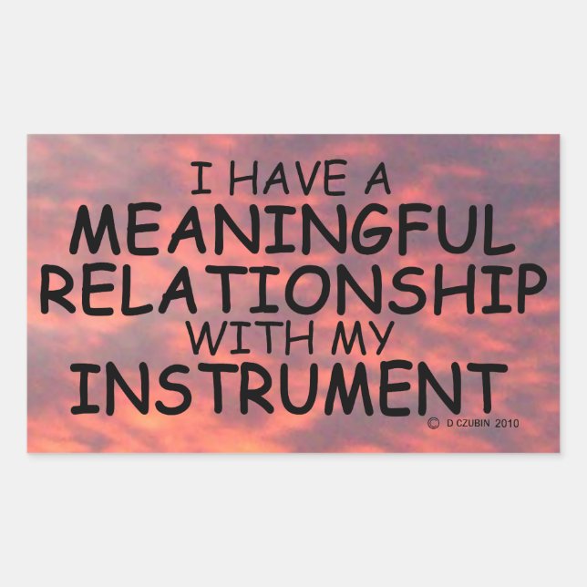 Meaningful Relationship Instrument Rectangular Sti Sticker (Front)