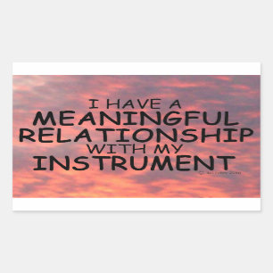 Meaningful Relationship Instrument Rectangular Sti Sticker