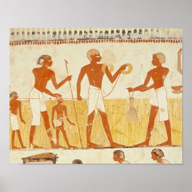 Measuring the land using rope poster (Front)