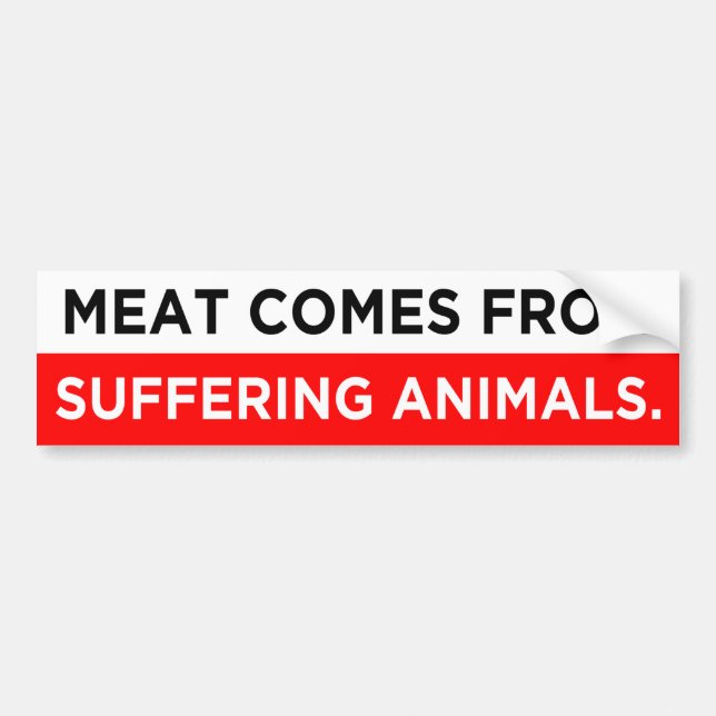 meat comes from suffering animals vegan bumper sticker (Front)