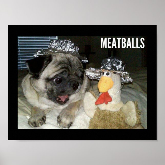 MEATBALLS POSTER (Front)