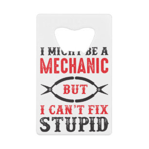 Mechanic i might be, but I can't fix stupid .