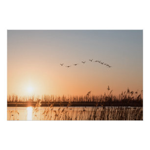 Mecklenburg-Vorpommern Nature Photo Poster
