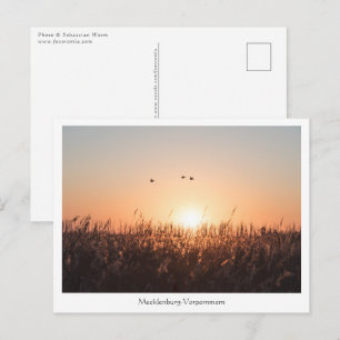 Mecklenburg-Vorpommern Postcard