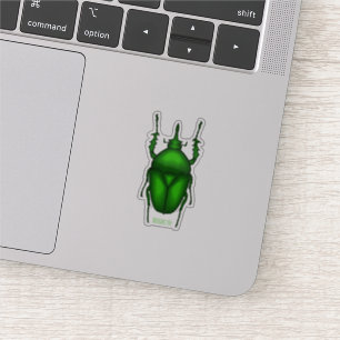 Mecynorhina torquata bug cartoon illustration 