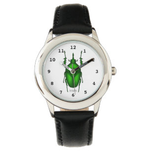 Mecynorhina torquata bug cartoon illustration watch