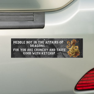 Meddle Not In The Affairs Of Dragons Bumper Sticke Sticker