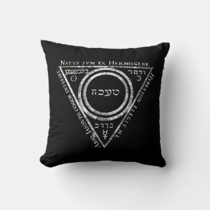 Mediaeval Alchemy Twelve Keys Book Illustration Cushion