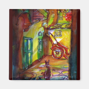 Mediaeval alley by night in Florence -detail Magnet