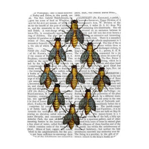 Mediaeval Bees 2 Magnet
