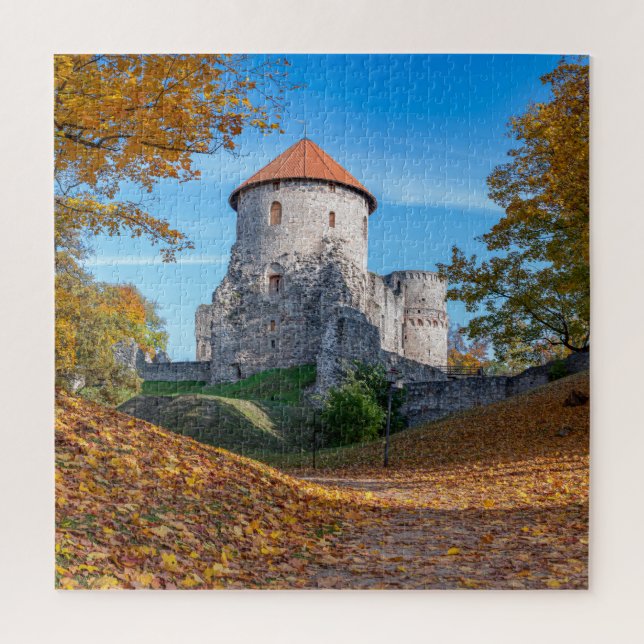 Mediaeval castle surrounded by forest jigsaw puzzle (Vertical)