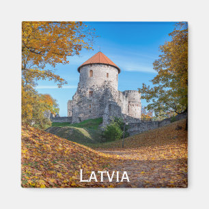 Mediaeval castle surrounded by forest magnet