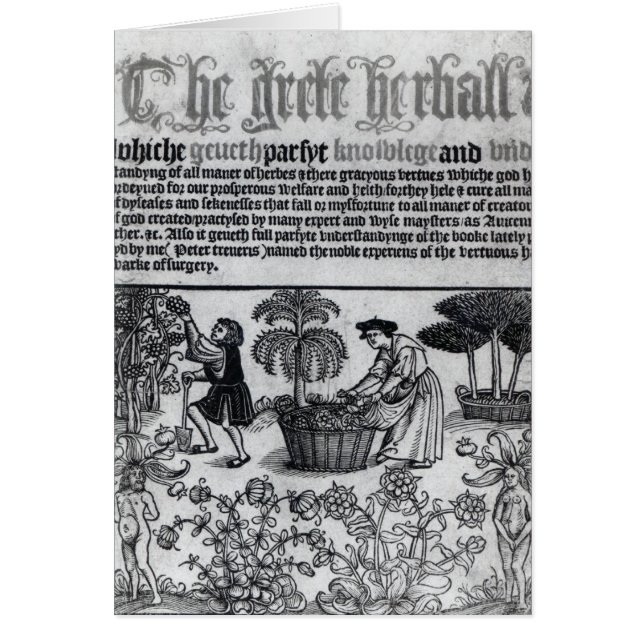 Mediaeval Herb Garden (Front)