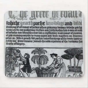Mediaeval Herb Garden Mouse Pad