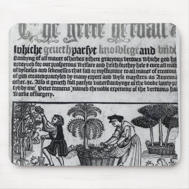 Mediaeval Herb Garden Mouse Pad (Front)