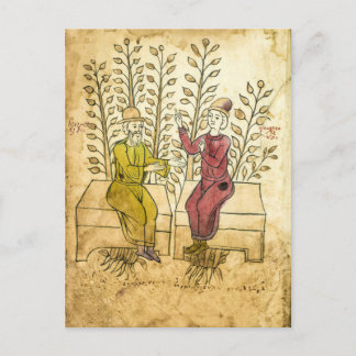 Mediaeval Herbalist Manuscript real photo postcard