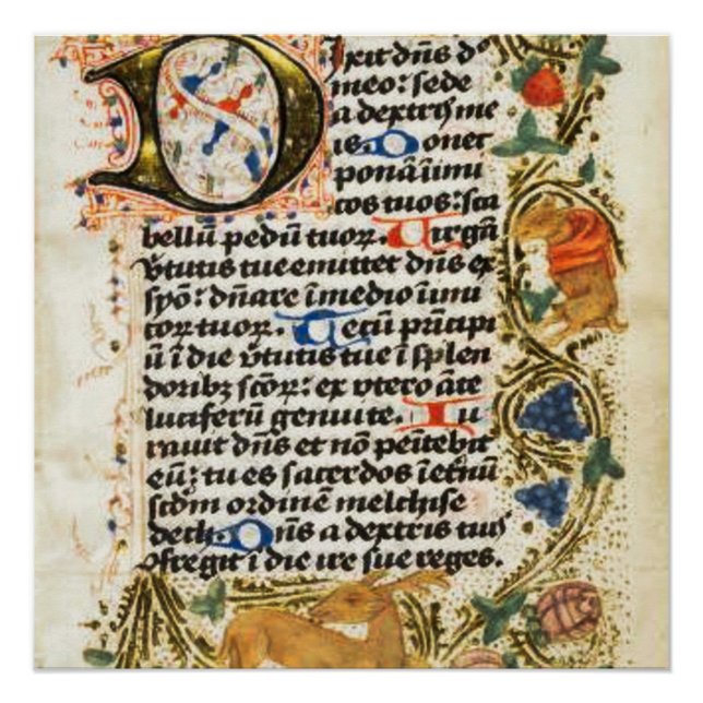 Mediaeval Illuminated Manuscript Poster (Front)