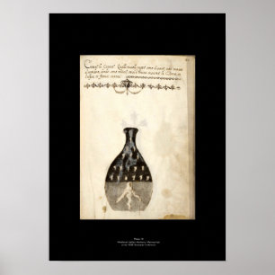 Mediaeval Italian Alchemy Poster Plate 10