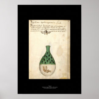 Mediaeval Italian Alchemy Poster Plate 4