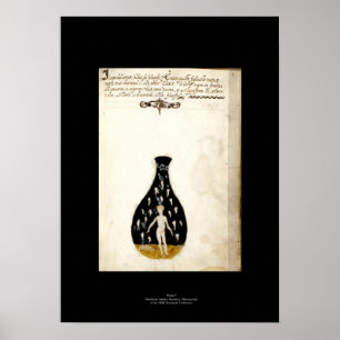 Mediaeval Italian Alchemy Poster Plate 7
