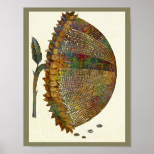 Mediaeval Italian Sunflower Poster