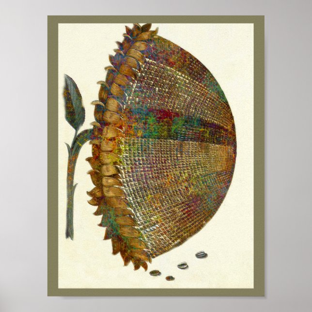 Mediaeval Italian Sunflower Poster (Front)