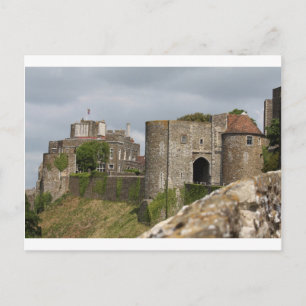 Mediaeval Knights Horses Lions Castle Party Destin Postcard