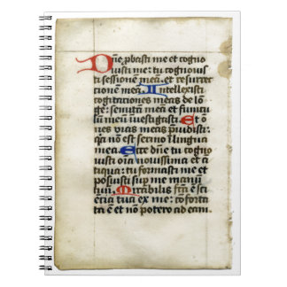 Mediaeval Manuscript Notebook