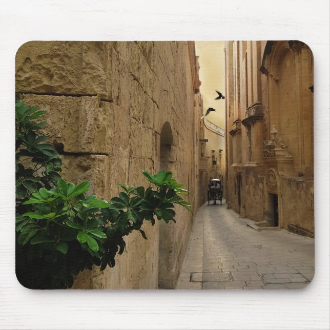 Mediaeval Narrow Street Tall Buildings And Coach Mouse Pad (Front)