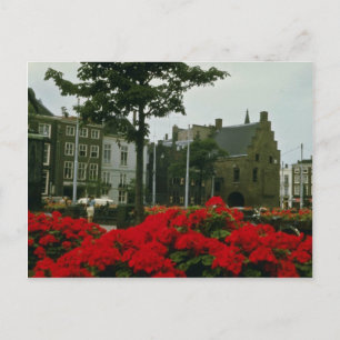 Mediaeval Prison In The Hague flowers Postcard