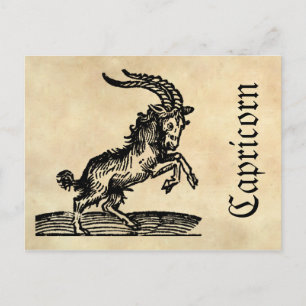 Mediaeval Renaissance Zodiac Symbol Capricorn Postcard