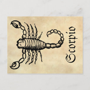 Mediaeval Renaissance Zodiac Symbol Scorpio Postcard