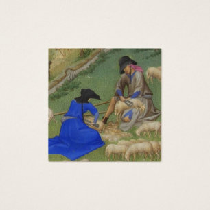 Mediaeval sheep shearing illustration