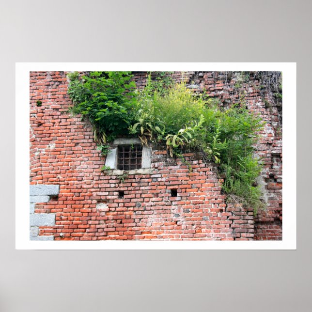 Mediaeval Window Detail Poster (Front)